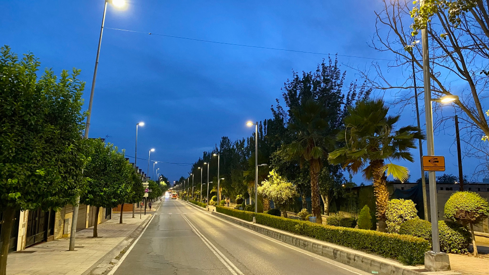 Avenida Reina Sofía de Peligros. Una de las calles autorizadas por la JEZ para la colocación de propaganda electoral 